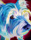 Title: West Highland White Terrier - Buddy