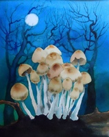 moon mushrooms