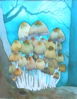 mushrooms