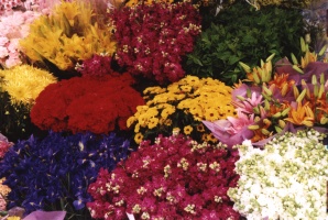 Flower Bouquets