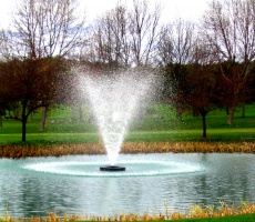 Water Fountain