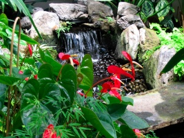 Waterfall and Flowers