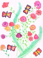 Butterflies and Flowers