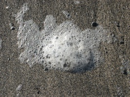 Beach Foam