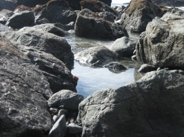 Looking Through Rocks