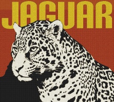 JAGUAR (panthera onca