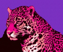 JAGUAR