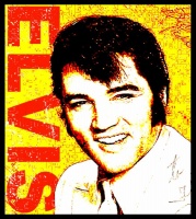 ELVIS