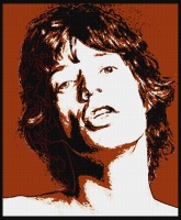 mick jagger-idol