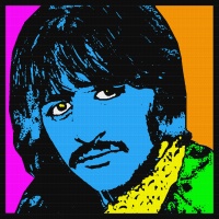 ringo starr-coloured