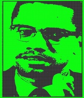 MALCOLM X-ORATOR GREEN