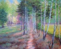 Birches path.