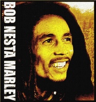 BOB NESTA MARLEY FIELD