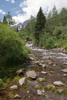 Mountain Stream