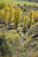 Stream in Fall