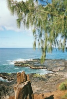 Scenic Kauai