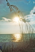 Sunset and Sea Oats