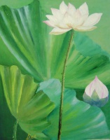 white lotus