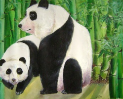 mother and child (pandas)