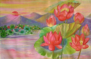 evening lotus