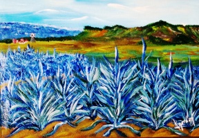 Jose's Agave Azul