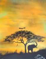 African Skies