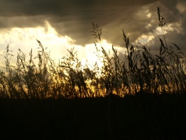 Kansas Sunset