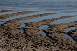 Tidal Estuary