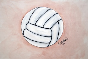 Volley ball