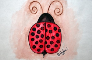 Lady bug