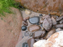 Rocks and Moss