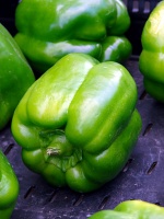 Green Peppers