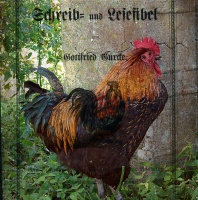 Rooster School