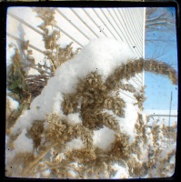 Winter 3 TTV