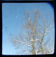 Winter 6 TTV