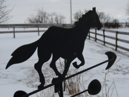 Winter Horse