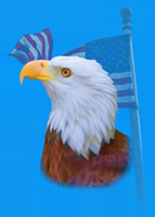 Bald Eagle and American Flag