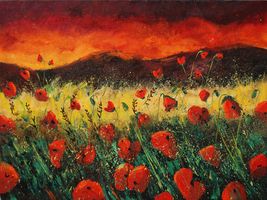 poppies at sunset