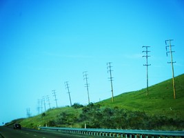 Pismo Poles