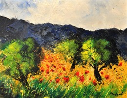 Olivetrees and poppies