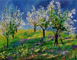 Orchard in spring 79