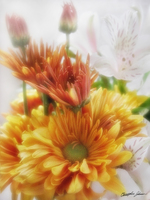 Gold Chrysanthemums Alstroemeria 3