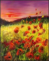 poppies sunset 45