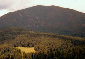 Valley of Trees