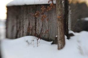 snowy shed