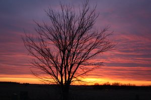 Kansas Sunset II