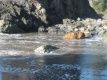 Title: Beach and Orange Rocks