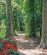 Title: Park pathway