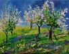 Title: Orchard in spring 79